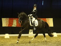 Kartsevo Etoile DES 201113_2263